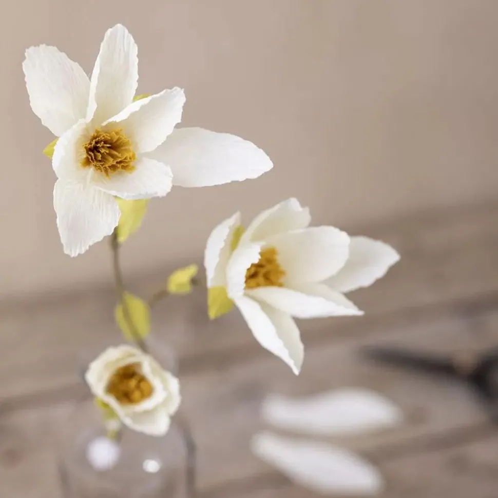 Crepepapir mini - Magnoliagren