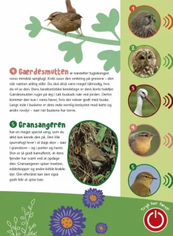 Fugle i vores natur