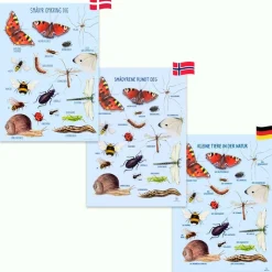 Plakat 50 x 70 cm - Smådyr omkring dig